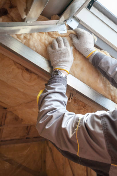 Best Residential Insulation in Demorest, GA